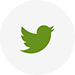 Twitter logo
