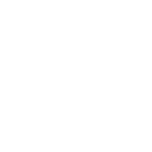 CNG icon