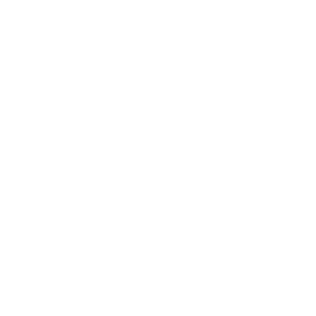 CNG icon